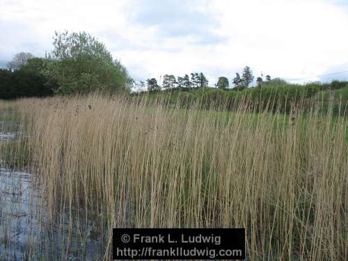 Lough Ardrea